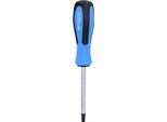 Brilliant Tools BT031042 Cacciavite Torx, T40 X 100 Mm
