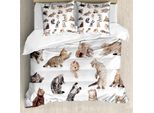 Set Copripiumino Abakuhaus Con Gatto, Divertente Gattino Giocoso Su Sfondo Bianco, Foto, 155 X 220 Cm + 80 X 80 Cm, Marrone, Nero, Bianco