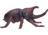 Modello Realistico Di Insetto Scarabeo, Figura In Plastica, Giocattolo Per Bambini, Oggetti Di Scena Educativi