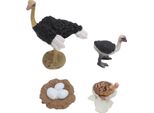 Figura Del Ciclo Di Vita Dello Struzzo, Pvc, Giocattolo Realistico, Crescita Animale Per Bambini