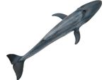 Modello Di Pesce, Decorazione Della Casa, Bambino Educativo, Simulazione Carina, Giocattolo Animale In Miniatura