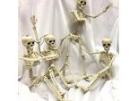 Confezione Da 2 Scheletri Di Halloween, 40,6 Cm, Sposa E Sposo, Corpo Intero Realistico Con Articolazioni Mobili Per Decorazioni Di Feste Spettrali