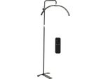 Lampada A Mezzaluna Da 26 Pollici Lampada Da Terra A Led Bellezza Makeup Luminosità Regolabile Altezza 100-240V Spina Ue
