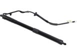 Supporto Elettrico Per Portellone Posteriore, Capacità Di Carico Elevata, Ammortizzatore Elettrico Per Portellone Posteriore Per RAV4 2013-2018, Destro Oe: 68910 09010