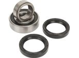 Set Di Cuscinetti Dell'asse Posteriore 1013794 Sostituzione Del Paraolio Ad Alta Resistenza, Robusta E Affidabile Per I Golf Cart Elettrici Club Car Ds
