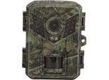 Telecamera Per Fauna Selvatica 1080P Hd IP66 Impermeabile Sensore Pir Rilevamento Del Movimento Visione Notturna A Infrarossi Per La Caccia Con Schermo A Colori Da 2 Pollici Per Il Monitoraggio Della Fauna Selvatica