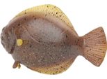Simulazione Oceano Pesce Modello Mare Giocattolo Educativo Bambini Bambino Bambino Regalo Decorazione Oceano