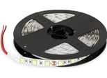 Striscia Led 5M 12V Dimmerabile - 72W Bianco Freddo