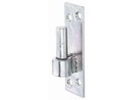 Alberts 318680 Staffa Su Piastra | Forma Sud-Tedesca Con Ganci Di O Dii | Zincata, Passivata A Film Spesso | Arretramento Ø13 Mm | Piastra 110 X 36 Mm | Set Da 3