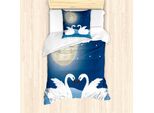 Abakuhaus Set Copripiumino Per Letti Singoli Swans, Moonlight Sky At Night Kunst, Antiacaro, Adatto A Chi Soffre Di Allergie, Con Federa, 135 Cm X 200 Cm - 80 X 80 Cm, Crema Scuro Sky Blue