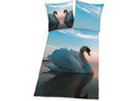 Set Di Biancheria Da Letto 2 Pezzi Con Cigno 135 X 200 Cm 100% Cotone