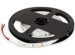 Striscia Led 5M 12V Dimmerabile - 24W Bianco Freddo