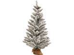 Albero Di Natale Deluxe Viola In Vaso 60 Cm