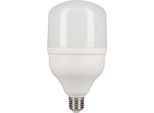 Lampada Led Edm 98833 F 30 W E27 2400 Lm Ø 10 X 20 Cm (6400 K)