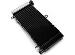 Radiatore Acqua Per Honda Hornet 600 98-06 Radiatore Radiatore