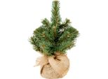 Albero Di Natale Artificiale Verde Narnia In Vaso 25 Cm