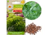 Semi Di Maggiorana Guarnizione Aromatica 1G
