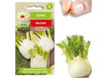 Semi Di Erba Di Finocchio Spezia Di Finocchio Per L'apparato Digerente 1G Semi Di Finocchio Vegetale
