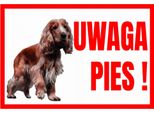 Attenzione Cane ! Spaniel 250X175 Cartello Informativo Di Avvertimento Targa In Pvc