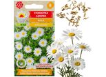 Margherita Bellis Perennis - 0,2 G Di Semi