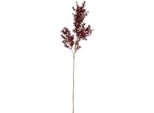 Fiore Artificiale Countryfield Asparago Bordeaux Ramo Decorativo 73Cm