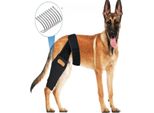 Inf Ginocchiera Per Cani Per Supporto Acl E Recupero Dagli Infortuni