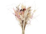 Bouquet Di Fiori Secchi Esotici Per Ispirazioni Creative Di Decorazione