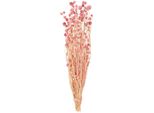 Fiori Secchi Di Cardi Di Fragola Bouquet Di Fiori Decorativi Accenti Floreali Di Nozze