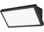 Rabalux Black Apparecchio Led Rapla2 18W IP65 Cct 77150