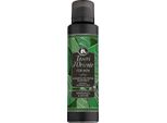 Tesori D'oriente Profumo Deodorante Per Uomo Sandalo E Vetiver 150Ml