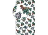 Jurassic World Dominion Lenzuolo Per Il Montaggio Tyrannosaurus Rex Velociraptor Stegosaurus 90 X 200 Cm + 25 Cm 100% Cotone