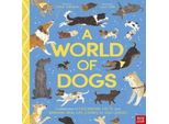 Un Mondo Di Cani: Fatti Affascinanti E Storie Sorprendenti