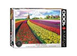Eurographics Puzzle Del Campo Di Tulipani (Hdr) 1000 Pezzi