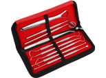 Inf Set Per La Cura Dei Denti - 9 Pezzi Con Custodia D'argento