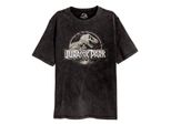 Maglietta Jurassic Park Logo Graffiato Acid Wash T-Rex Tirannosauro Dinosaurier