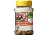 Piante Da Terrazzo E Da Balcone Coni Di Alimentazione