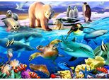 Puzzle Bluebird Legespiel Oceani Della Vita - 204 Pezzi Kinderpuzzle