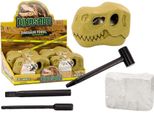Set Di Scavi Archeologici Dinosauri Fossili Cranio