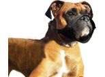 Museruola Karlie In Nylon, Misura: Specialmente Per Cani A Muso Corto