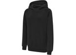 Hummel Hmlred Classic Hoodie Kids