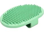 Spazzola Per Massaggio Beeztees - Cane - Menta - 13X9X2 Cm