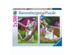 Ravensburger 2In1 Puzzle Gatti 2X500 Pezzi