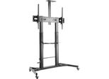 Aisens FT100TE-171 Supporto Da Pavimento Inclinabile Con Rotelle E Maniglia Per Tv 60-100"/ Fino A 100 Kg"