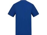 Awdis - T-Shirt Uomo/Donna Unisex PC7772 (Xxl) (Blu Cielo)
