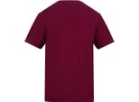 Awdis - Maglietta Uomo/Donna Unisex PC7768 (3XL) (Rosso Fuoco)