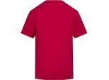 Awdis - T-Shirt Uomo/Donna Unisex PC7768 (Xl) (Viola)