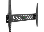 Alzaergo T320B A Basso Profilo Pieghevole 37"-70"""