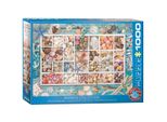 Eurographics Puzzle Collezione Di Conchiglie Di Laura 1000 Pezzi