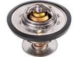 Termostato Swag Per Liquido Di Raffreddamento 92 °C Per Volvo V70 Ii (285) V40 Station Wagon (645) V70 I (875, 876) S60 I (384) 850 Station Wagon (855) XC70 Cross Country (295)