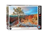 Eurographics Puzzle Del Crepuscolo Invernale, Bryce Canyon (Hdr) 1000 Pezzi